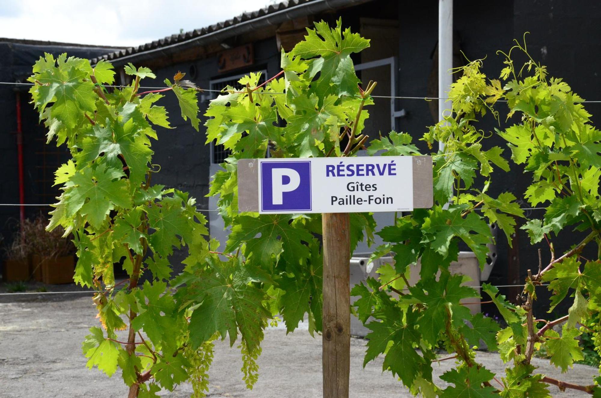 Gites Paille-Foin Cerfontaine Exterior foto